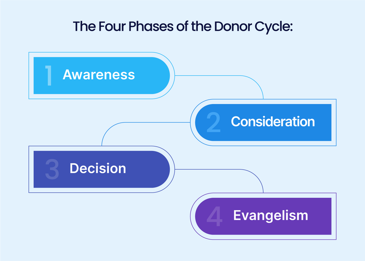 the four phases of the donor cycle